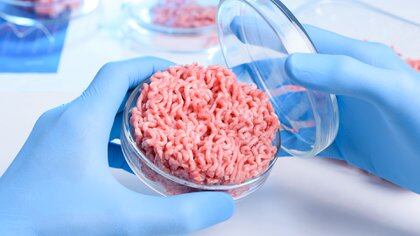 De la carne cultivada o de laboratorio, “se dice también que es el futuro de la alimentación sustentable" (Shutterstock)