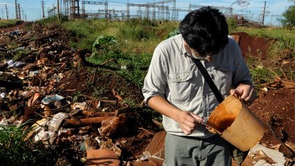 "La regla básica de prevención es eliminar los recipientes capaces de acumular agua y para tener éxito es indispensable el compromiso de la comunidad. Un solo criadero pone en riesgo a los habitantes de una manzana entera", asegura Schweigmann. Foto: Fernando Calzada.  