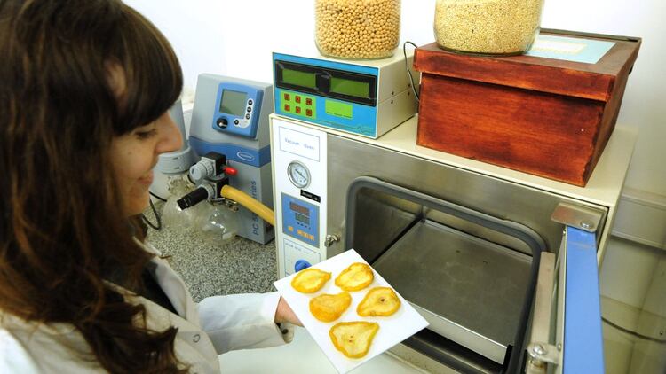 La UNLP desarrollará raciones de alta calidad nutricional y bajo costo destinado a sectores vulnerables de la región