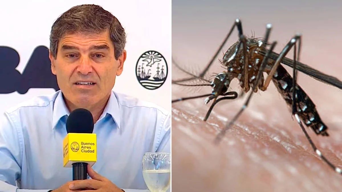 Quirós explicó por qué se recomienda focalizar la vacunación contra el dengue en zonas endémicas