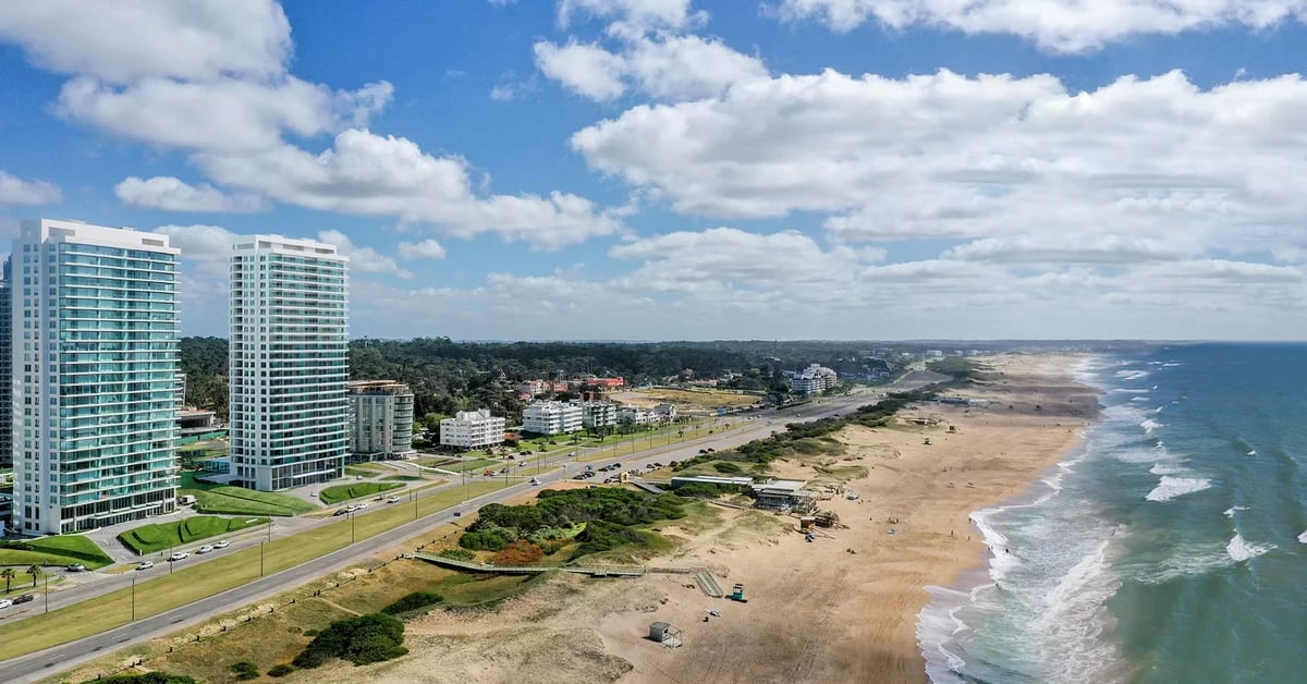 Moving to Uruguay: a new platform helps Argentinians who want to settle in Punta del Este