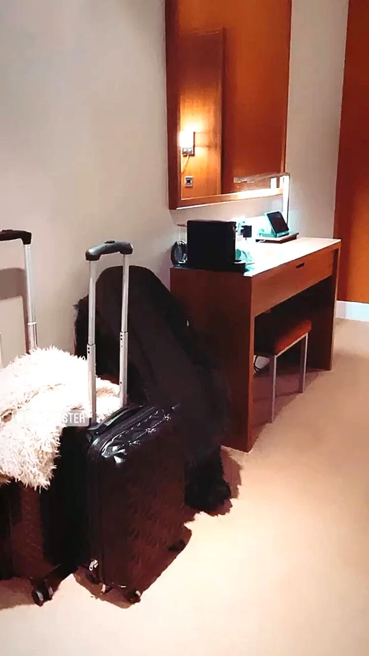 Las instagramer compartieron fotos en sus redes sociales (Instagram)