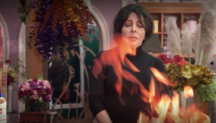 La Casa de las Flores, protagonizada por Verónica Castro también será una de las producciones que se adapte a libro (Foto: Netflix)