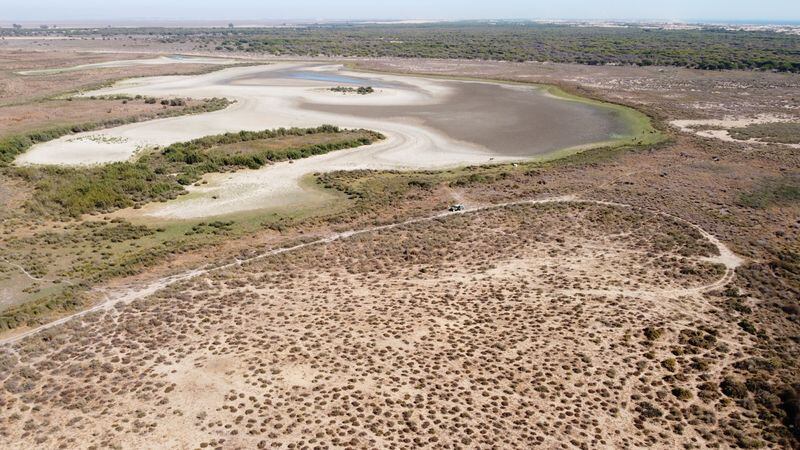 La laguna de Santa Olalla tras secarse en el Parque Nacional de Doñana. (REUTERS/Estación Biológica de Doñana)