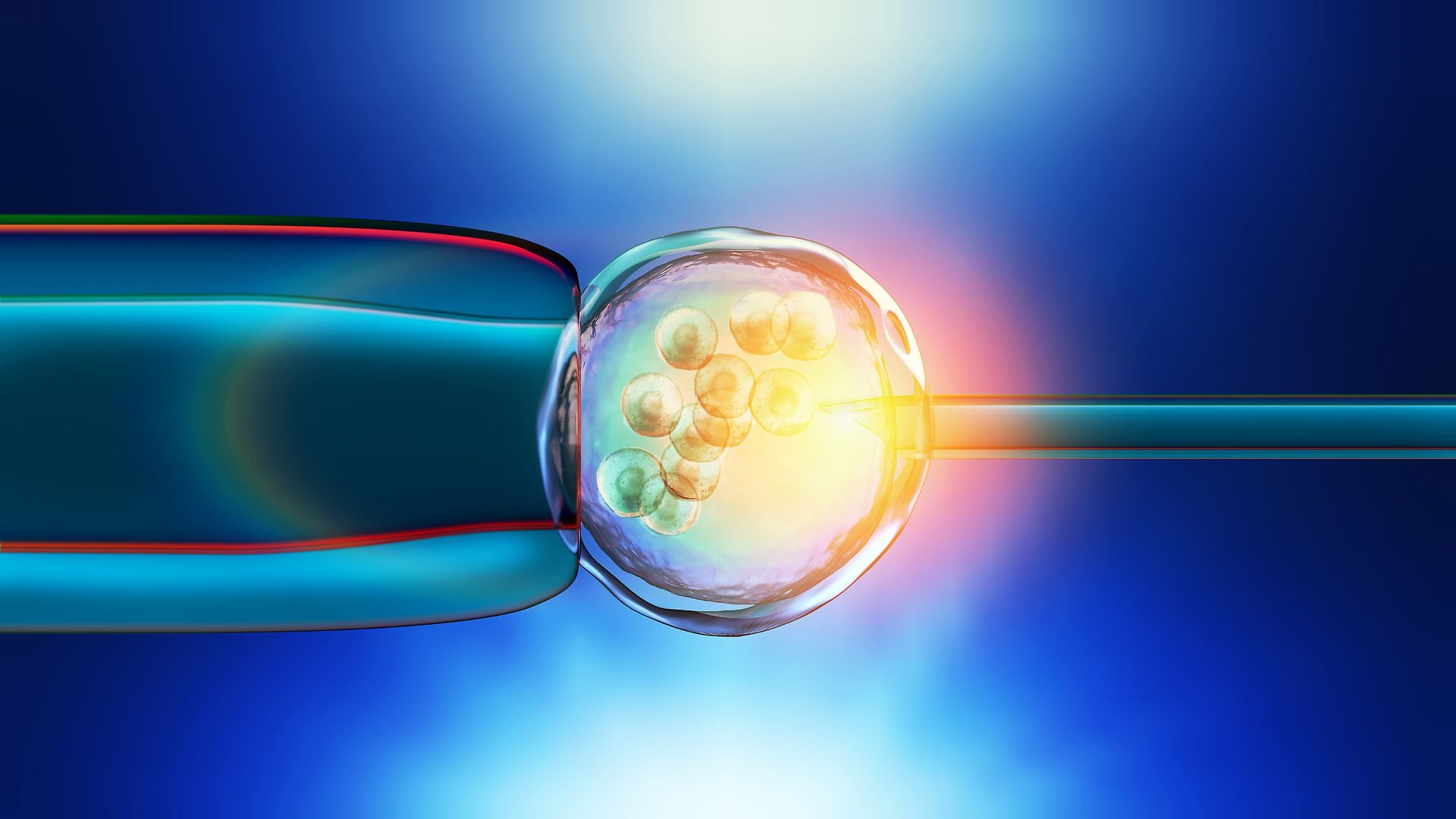 Los expertos dicen que la ciencia detrás del embrión sintético puede ser un cambio de paradigma 
(Getty)