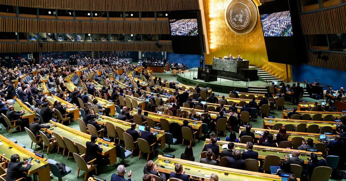 UN: Lebanon and Gabon recover the right to vote;  not venezuela