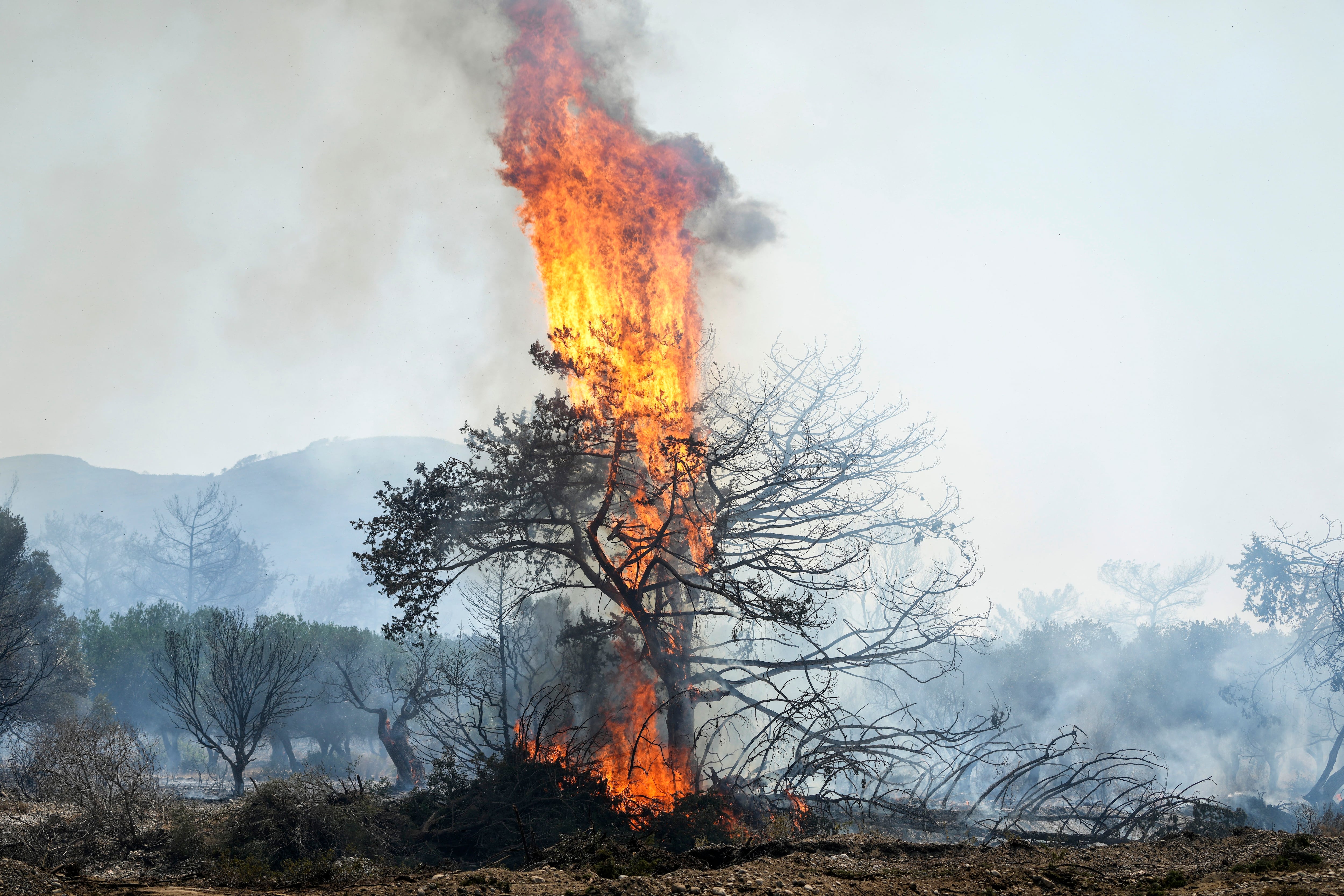El incendio forestal en la isla de Rodas, que forzó la evacuación de 19.000 personas, sigue fuera de control  (AP/Petros Giannakouris)