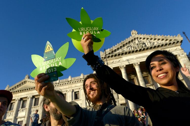 Uruguay legalizó la marihuana en el año 2013 (AP)