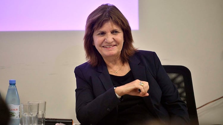 Patricia Bullrich es una de las líderes que hoy tiene la oposición a nivel nacional (Foto: Gustavo Gavotti)