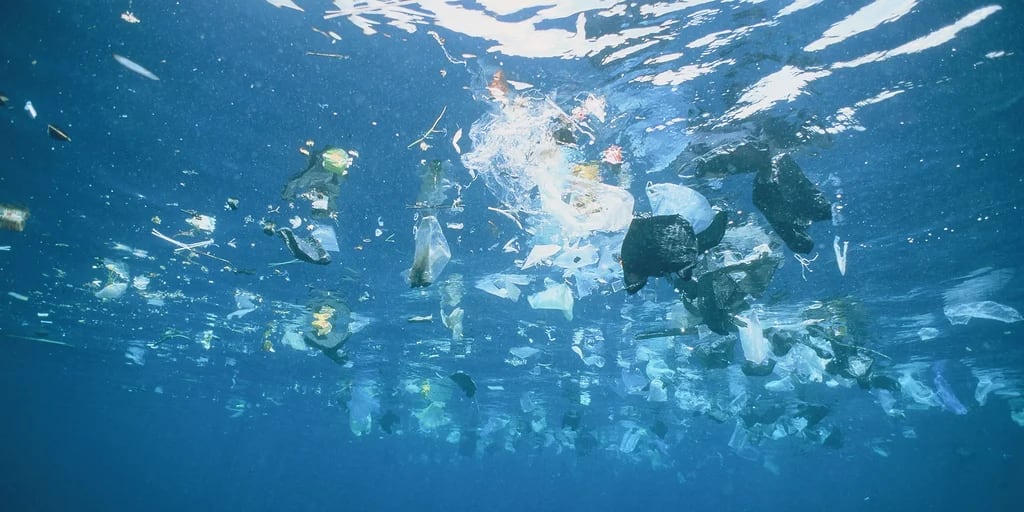 El desafío de los plásticos: estrategias globales para reducir su huella ambiental