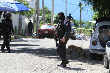 Según informes, al menos 16 células criminales han sumido a Acapulco en una ola de violencia (Foto: Bernandino Hernández/Cuartoscuro.com)