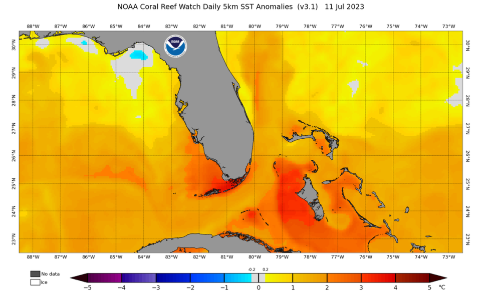 La inquietante subida: las temperaturas de las aguas en Florida establecen nuevos récords. (NOAA)