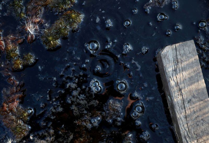Burbujas de metano en una zona de pantanos en un puesto de investigación en Stordalen Mire, cerca de Abisko, Suecia (REUTERS/Hannah McKay/)