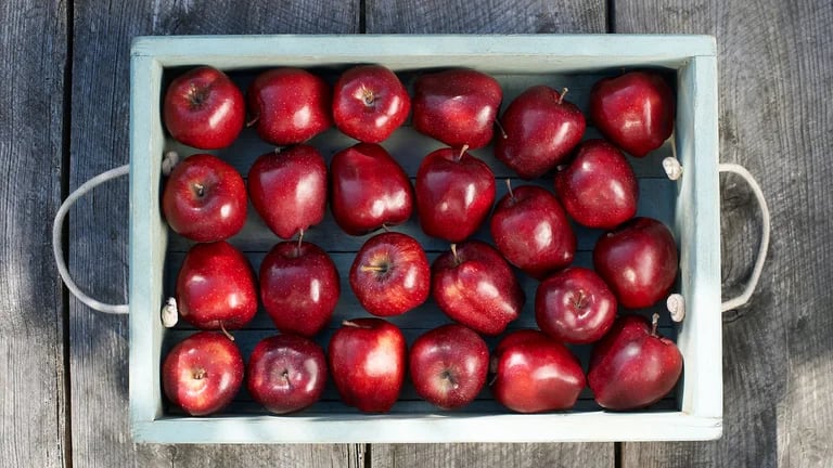  Rallada, en compota o en trozos, la manzana es una gran aliada de la dieta atringente  