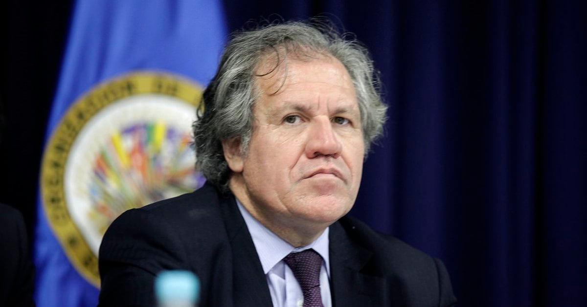 Luis Almagro assures that Alex Saab’s extradition is key to dissolving Maduro’s regime