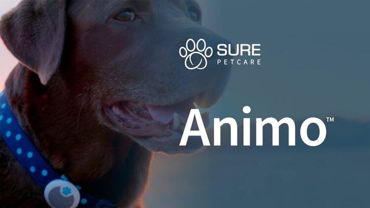 Sure Petcare es la empresa detrás del sensor Animo