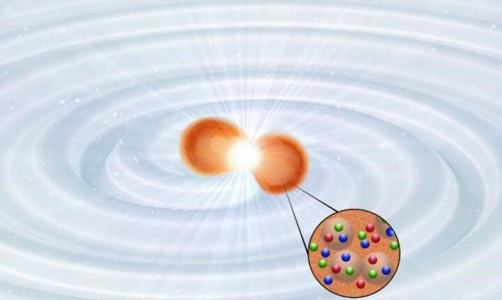 Colisión de dos estrellas de neutrones que muestran las emisiones de ondas electromagnéticas y gravitacionales durante el proceso de fusión.(TIM DIETRICH)