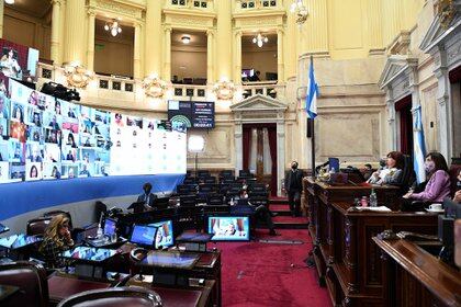 El Senado volvió a sesionar de forma remota. (Celeste Salguero / Comunicación Senado)