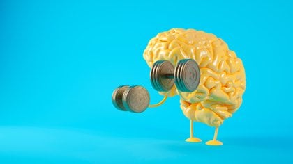 Numerosos ejercicios de entrenamiento cerebral computarizados están disponibles comercialmente (Shutterstock)