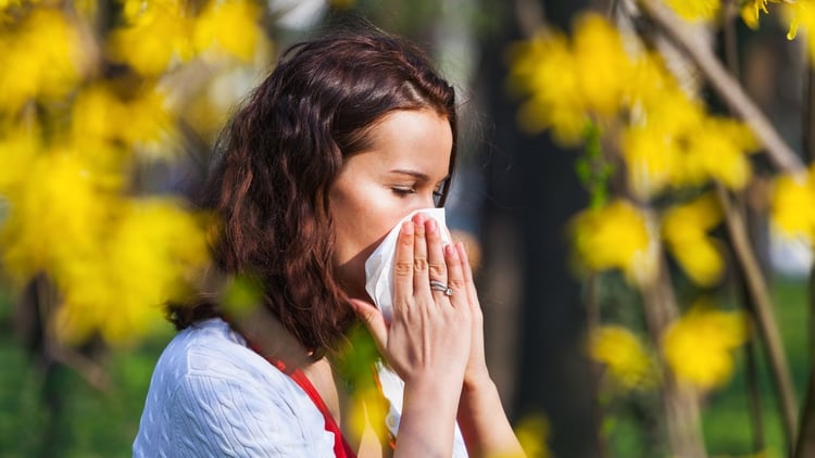 Se recomienda evitar la exposición a irritantes como el humo del tabaco, ya que exacerba los síntomas alérgicos durante la exposición al polen (Shutterstock)