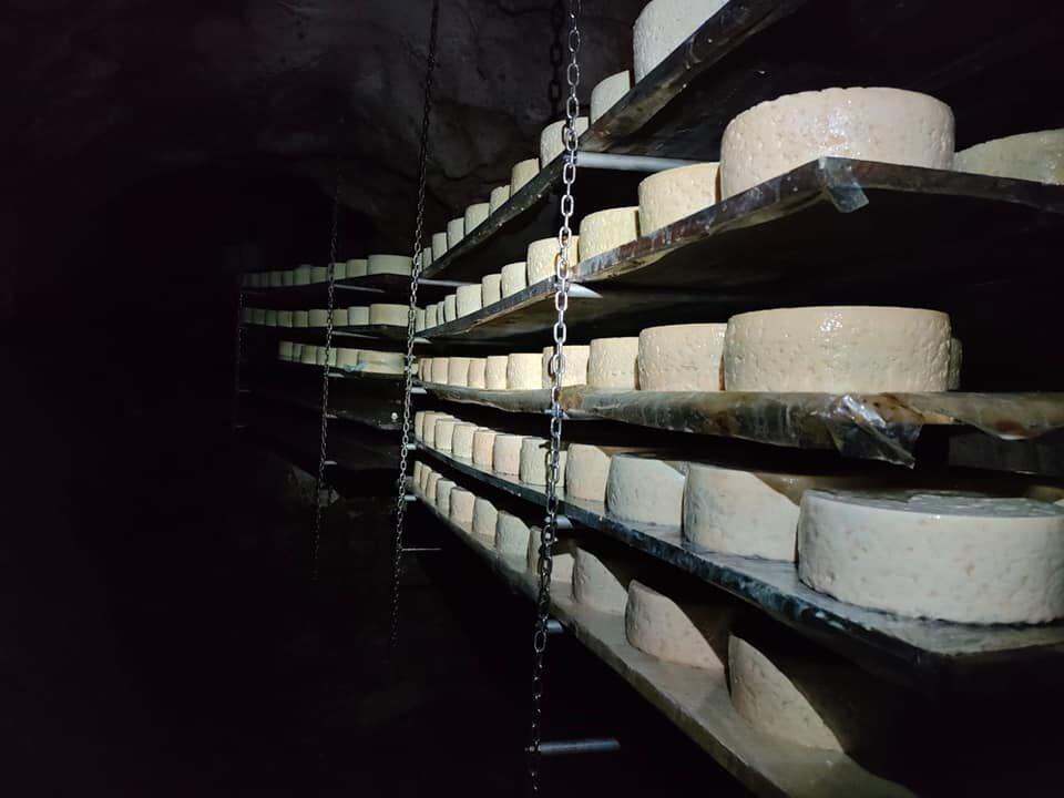 Quesos de Cabrales en la cueva de la quesería Los Puertos (Cedida)