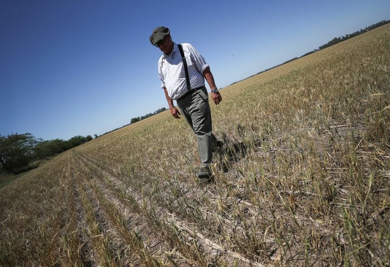 El agua sigue escaseando y la actividad agrícola se puso cuesta abajo,
REUTERS/Agustin Marcarian