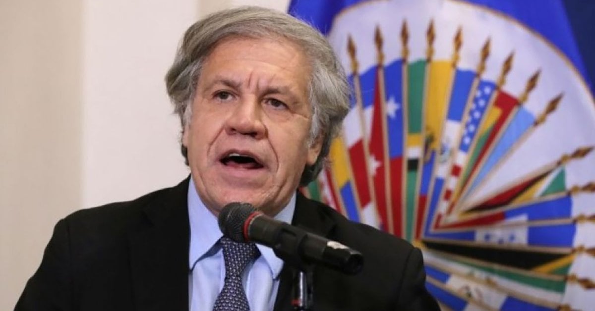 Photo of Luis Almagro promete ser implacable en el control de las elecciones en Bolivia: «La OEA no apoya el fraude, ni de izquierda ni de derecha»