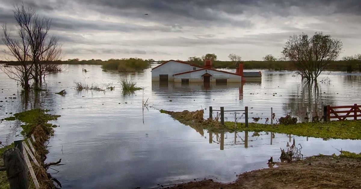 Due to climate change, five cities in South America may be under water by 2100