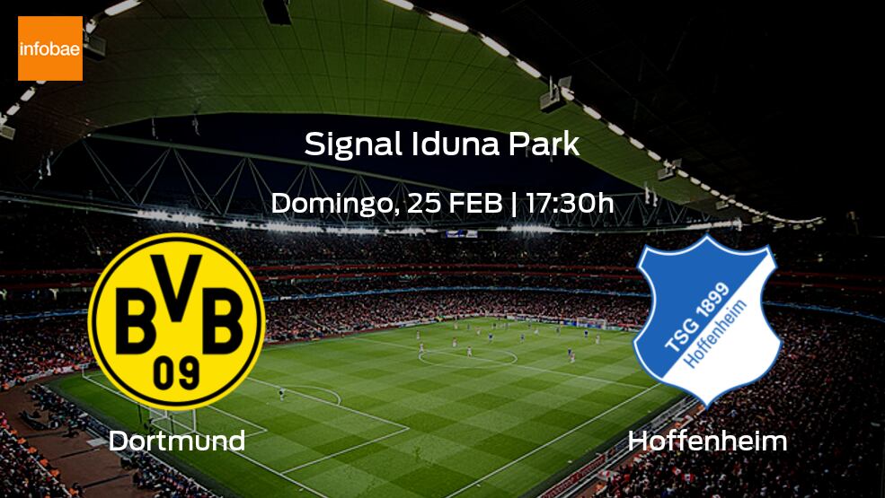 Borussia Dortmund Hoffenheim