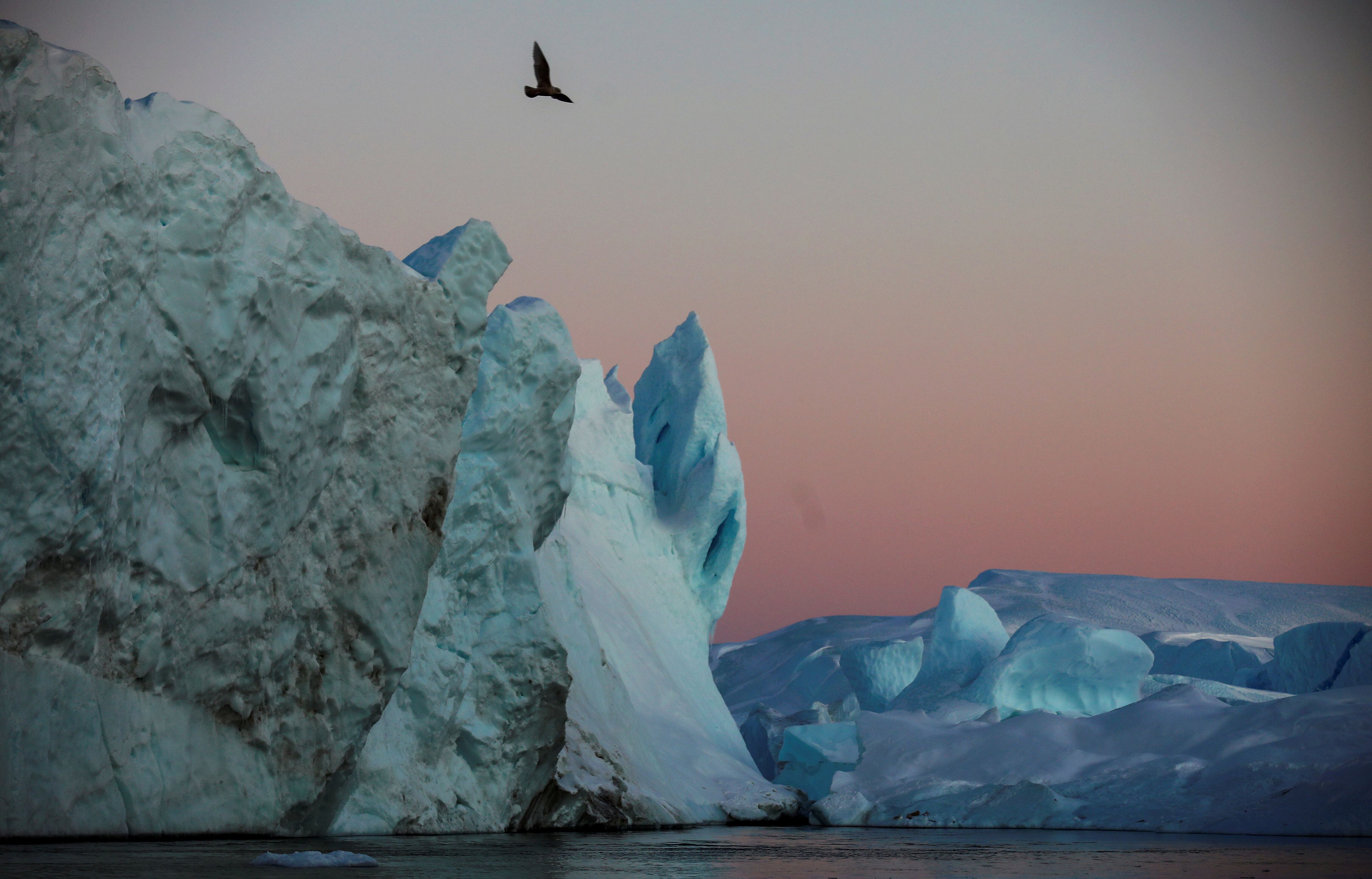 Mientras persista el cambio climático, “nuestras capas de hielo continuarán derritiéndose y las regiones polares serán cada vez más susceptibles a los efectos de los océanos más cálidos, con una serie de consecuencias para la naturaleza que llama a estos entornos su hogar”, concluyó el experto