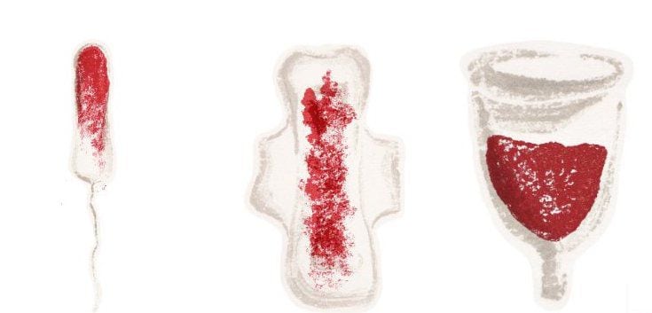 Il 28 aprile 2021, il Dignified Menestruation Act è stato approvato alla Camera dei Deputati con 432 voti favorevoli e 0 contrari. (Foto: Twitter/ @diga_mx)