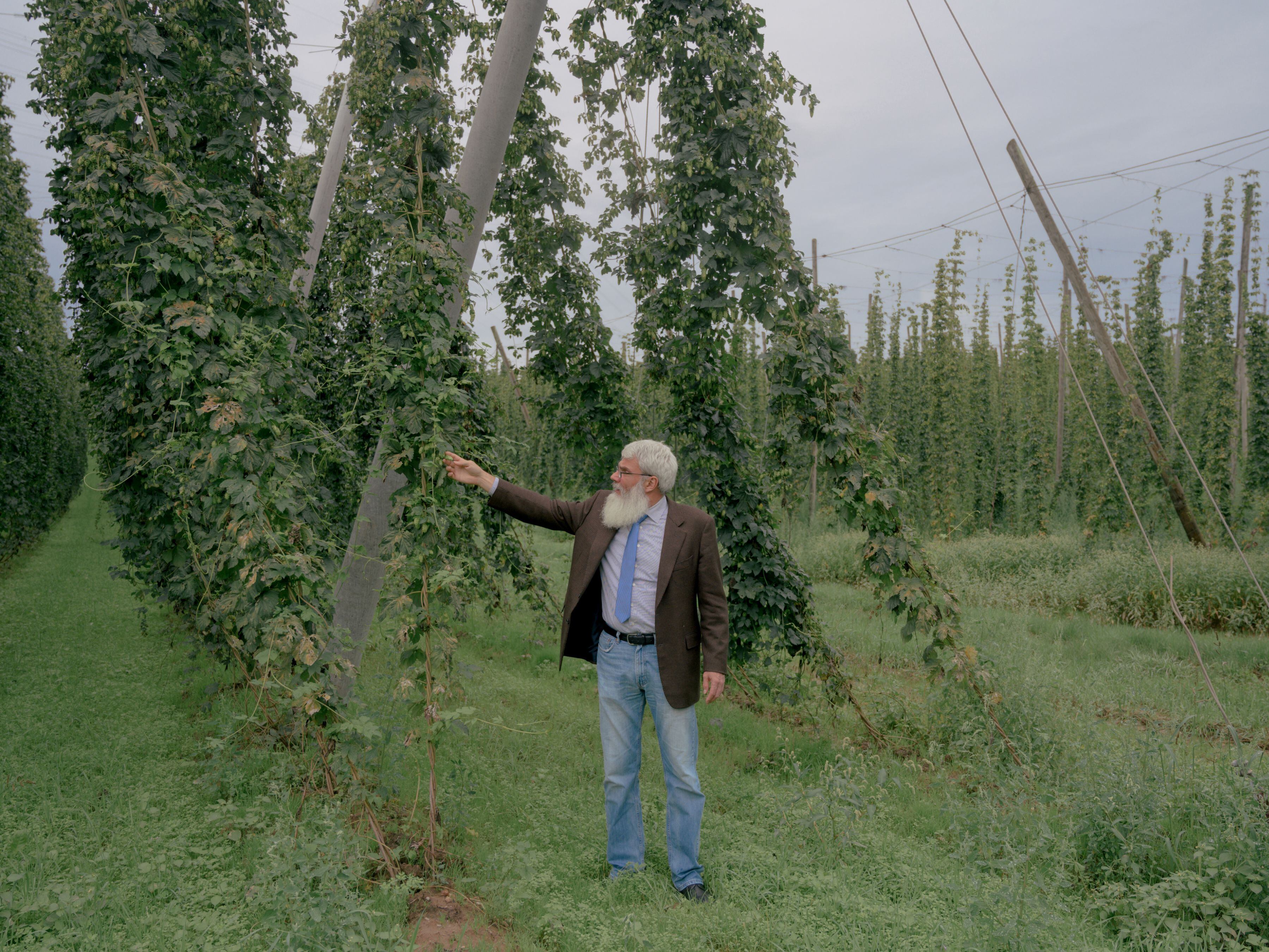 Frank Braun, presidente de la empresa productora de lúpulo de Spalt, afirma que los agricultores de la región están interesados en probar nuevas variedades de lúpulo, pero deben poder venderlas (Ingmar Nolting/The New York Times)