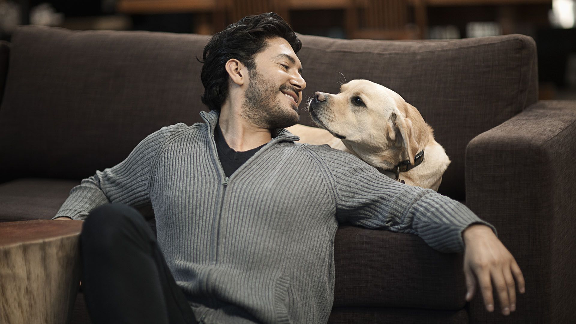 Si el estar junto a nosotros ocurre de modo equilibrado y aceptable, es sin duda, una conducta afectuosa de seguir al líder, aceptando su supremacía y aún más: disfrutándola