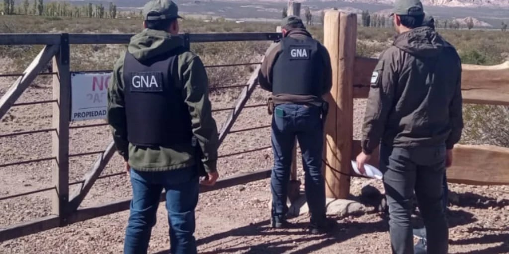 Gendarmería encontró un vivero con plantas de marihuana a 2.000 metros de altura en Mendoza