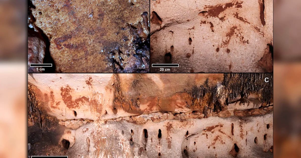 Più di 100 dipinti e iscrizioni risalenti a 24mila anni fa descrivono in dettaglio il nuovo focus dell’arte rupestre nascosto nella grotta di Duns.