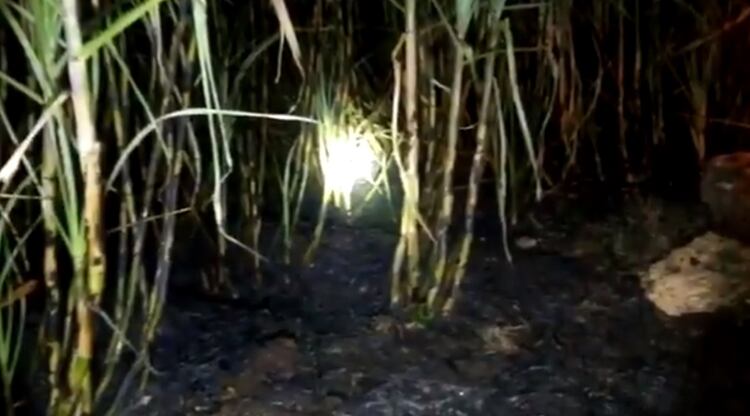 El siniestro fue originado por la quema de caña en el Ejido Hool, en el municipio de Champotón en el estado de Campeche (Foto: captura de pantalla CFE)