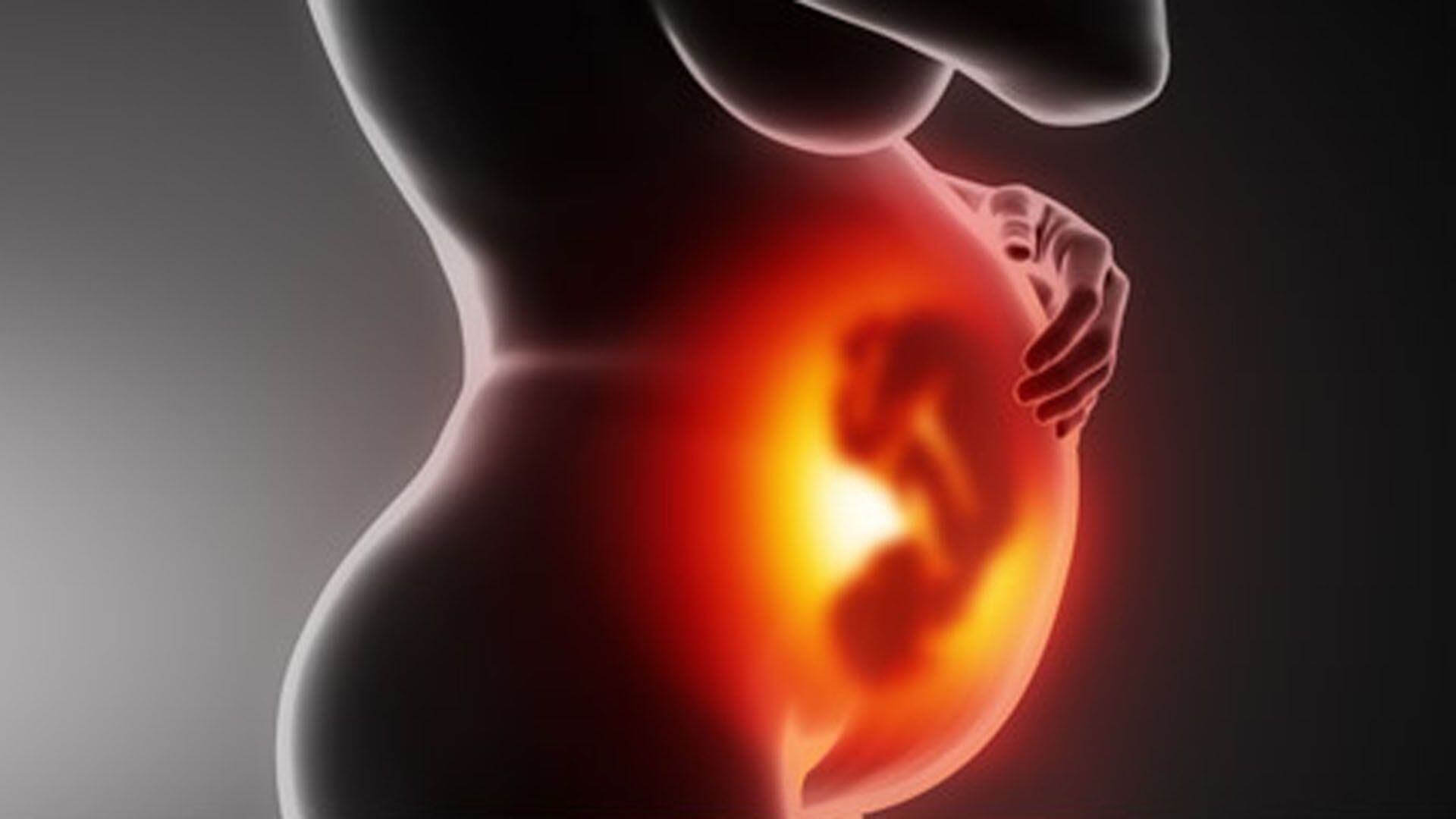 La reciente investigación desentraña la posibilidad de que el sistema inmunológico femenino "recuerde" embarazos anteriores, una pista crucial para prevenir complicaciones en futuras gestaciones
