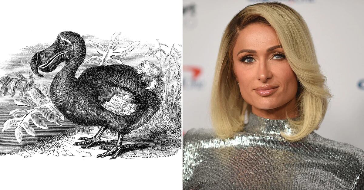 What extinct animal does Paris Hilton want as a pet and asks genetics to revive it?