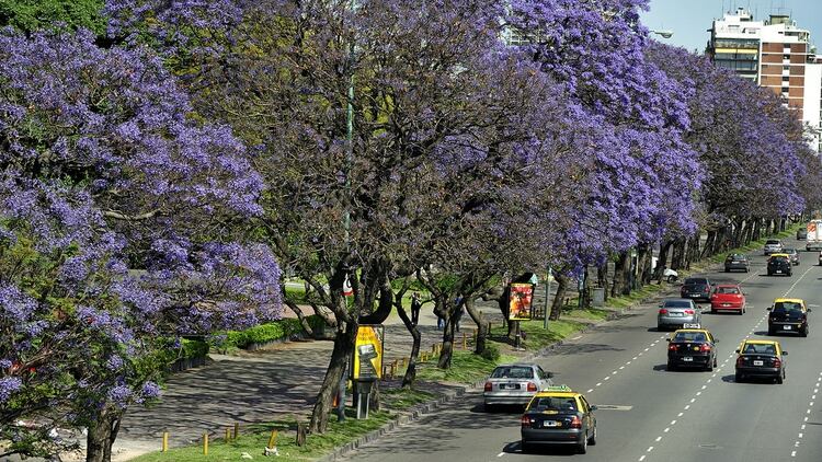 En la ciudad de Buenos Aires, donde hay plataformas de carsharing, el uso temporal de autos; el bicisharing, que está representado a través del sistema gratuito EcoBici (Shutterstock)