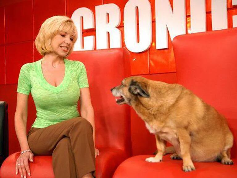 QQNAJMGYUBA4JHHRPMQ6AJUN6Q