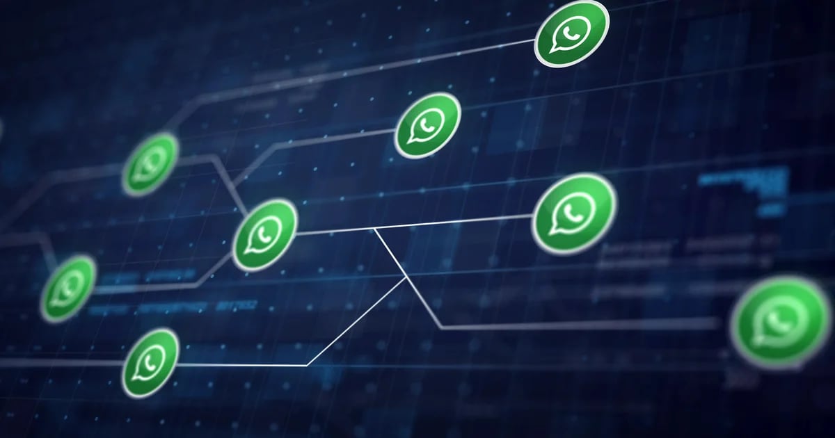 Come inviare messaggi privati ​​su WhatsApp