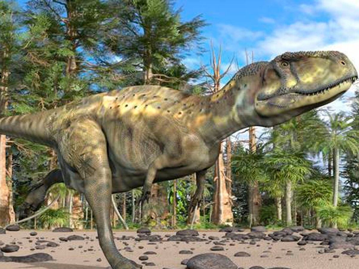 Cinco Asombrosas Nuevas Especies De Dinosaurios Descubiertas En