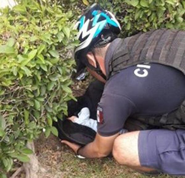 El bebÃ© de Litzi fue hallado entre los matorrales de una jardinera.