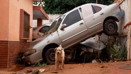 Dos vehículos arrastrados y dañados por las fuertes lluvias (EFE/ Henry Chirinos)
