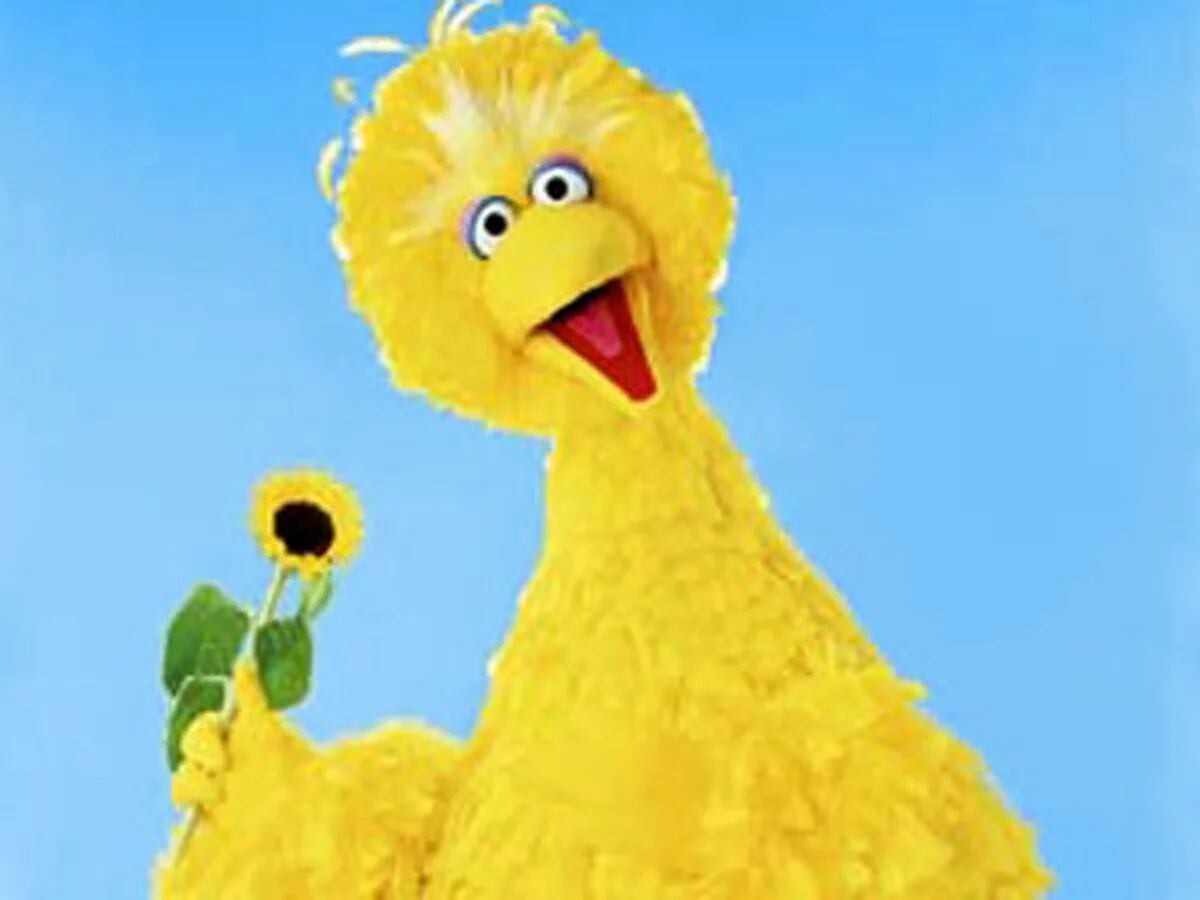 nombres de plaza sésamo