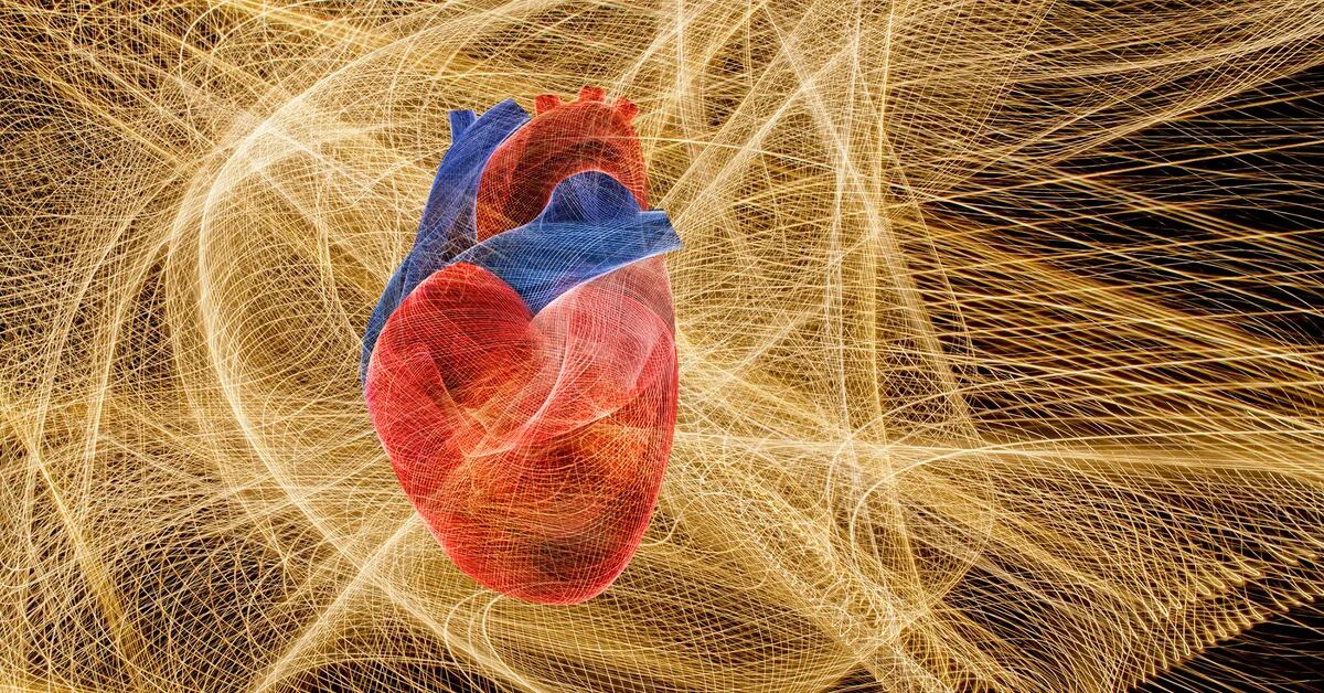 Heart rate influences how the brain perceives the passage of time