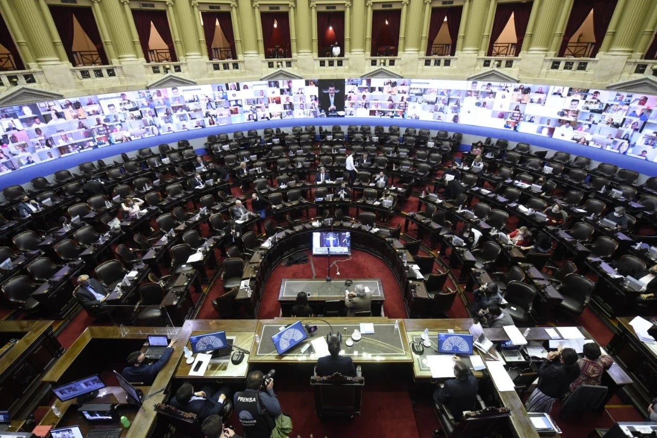 En la Cámara de Diputados de la Nación son varias las iniciativas presentadas sobre el tema Humedales (Foto: Cámara de Diputados de la Nación)
