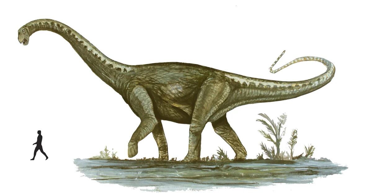 Descubrieron en Mendoza un dinosaurio que sería el más grande del mundo -  Infobae