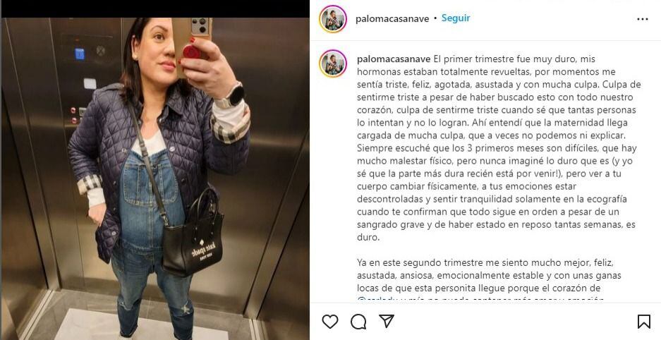 Paloma Casanave confesó pasar por momentos difíciles en su primer trimestre de embarazo. | Foto: Instagram