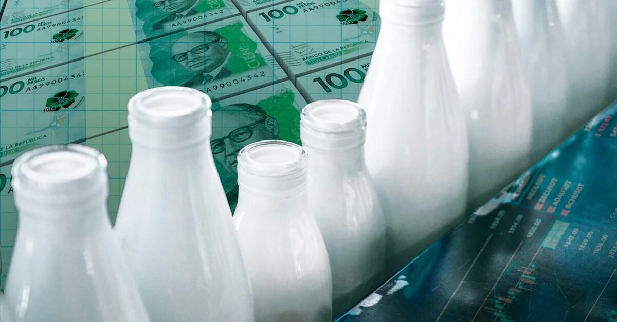 Milk is 36% more expensive than a year ago: dairy workers do not rule out supply problems